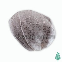 Шапка детская AJS J17 34-454 (на подкладке)